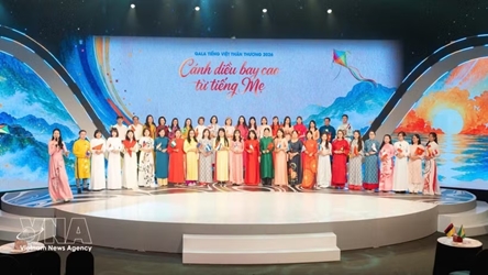 Nurturing Vietnamese identity among overseas communities